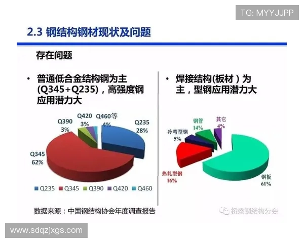 广州羽毛球队实力分析与发展前景的深度探讨与展望